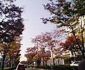 b0114392_27366.jpg