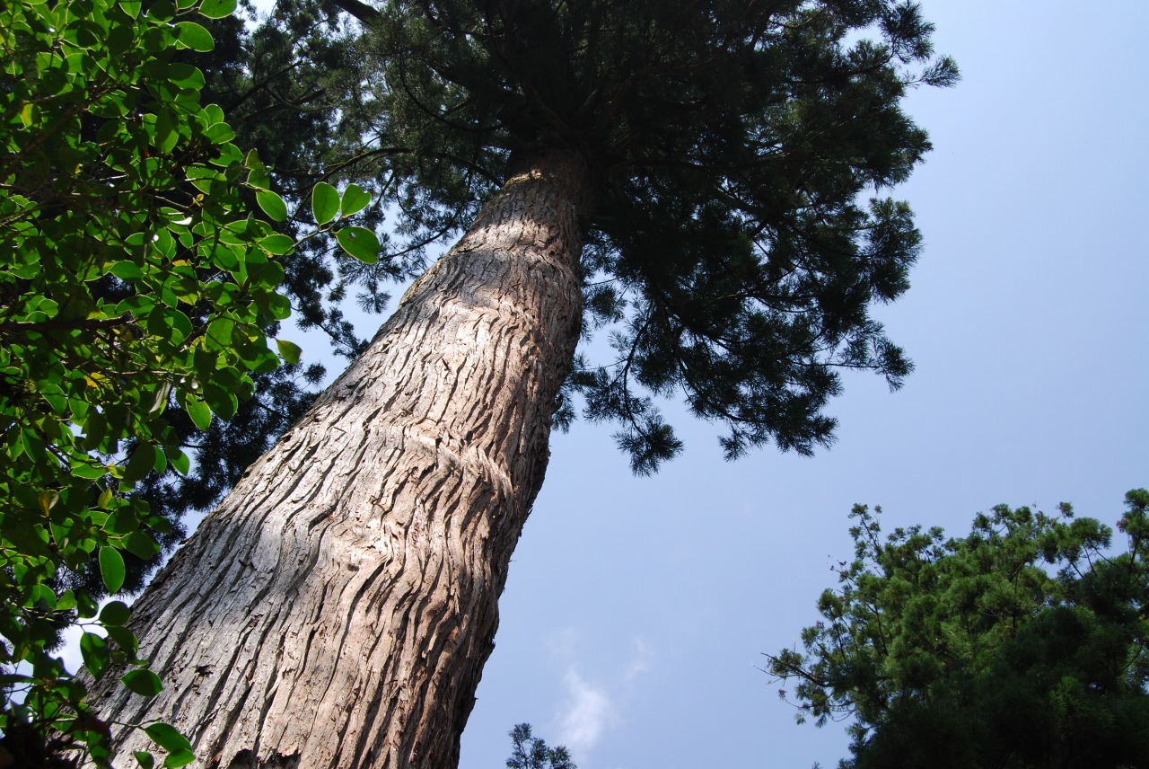 道標_f0139292_1949171.jpg