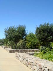 c0103793_90828.jpg