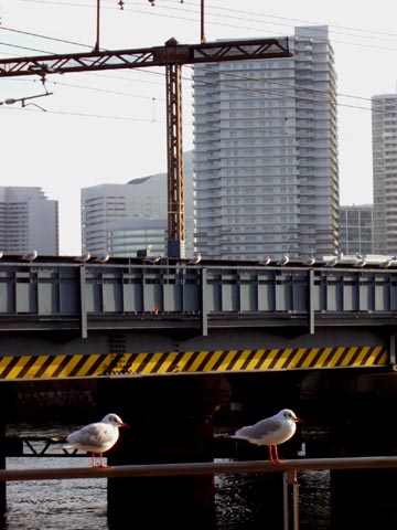 e0034994_23175920.jpg