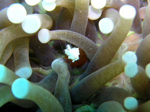 c0097095_19354290.jpg