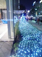 c0027700_21192530.jpg