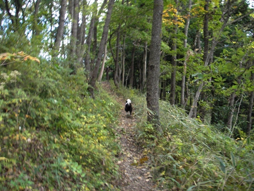 f0034602_20301956.jpg