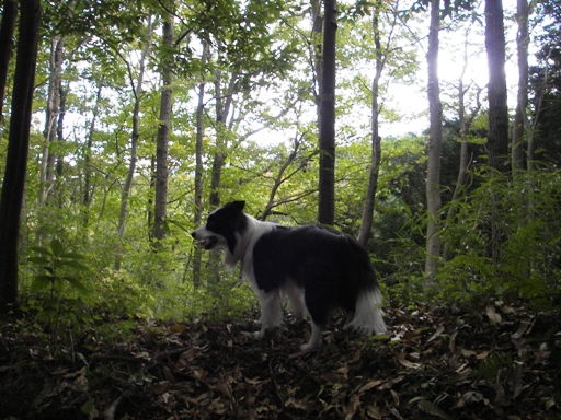 f0034602_2030431.jpg