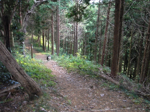 f0034602_20323665.jpg