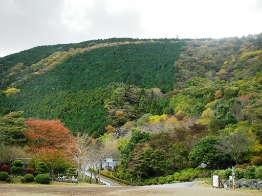 f0034602_20354062.jpg