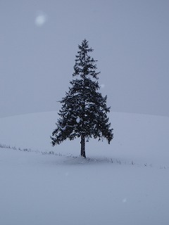 f0147602_17335714.jpg