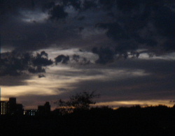 c0023406_20321861.jpg