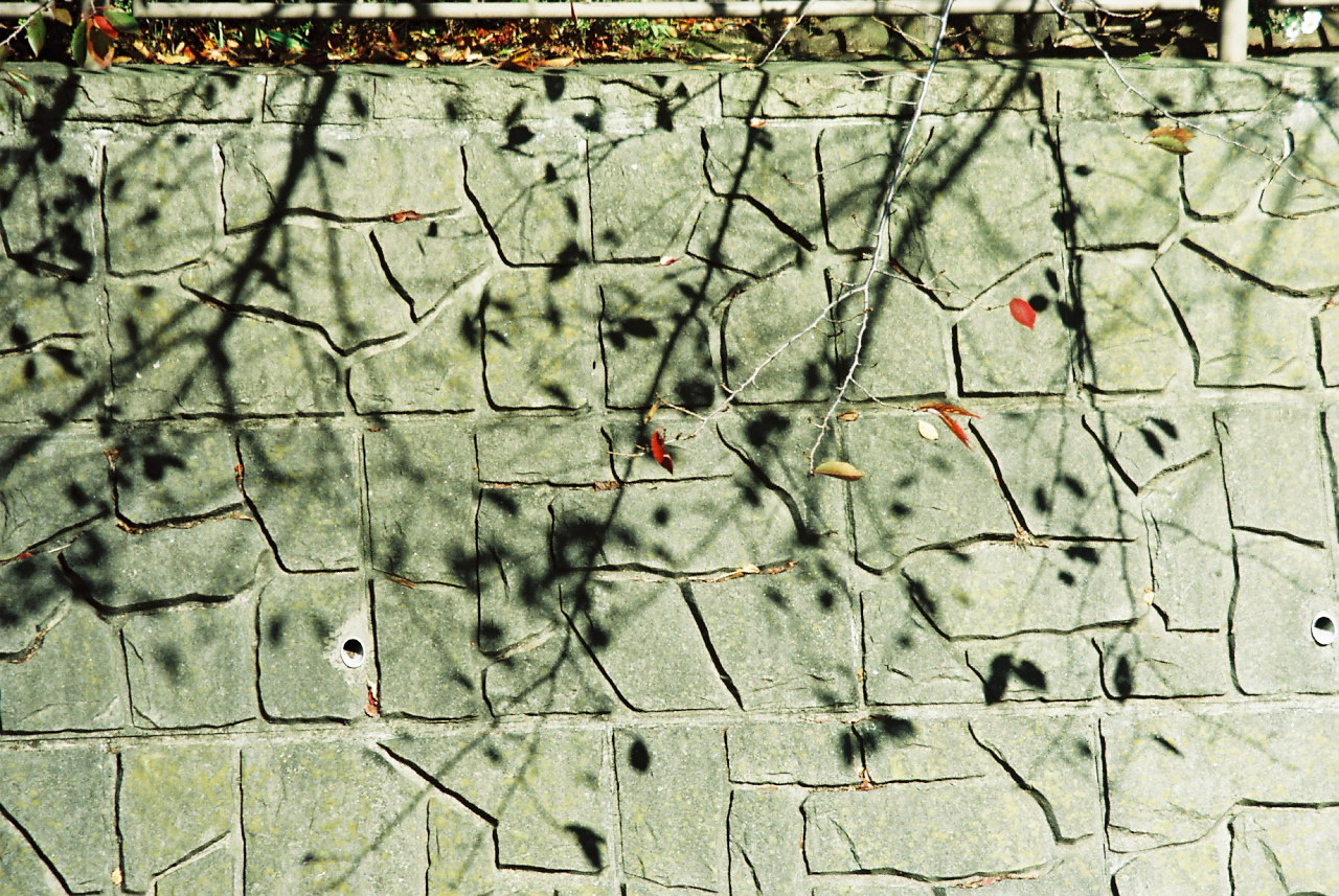 d0092109_20413817.jpg