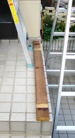 d0078312_1954939.jpg
