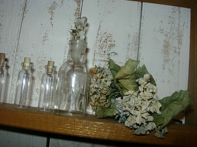 c0085916_045669.jpg