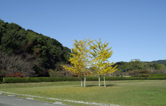 c0012819_23292815.jpg