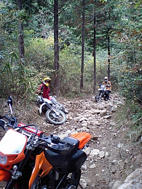 a0048323_23121567.jpg