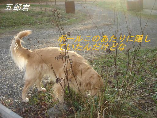 2007年11月18日 清里にて NO2_f0114128_2055364.jpg
