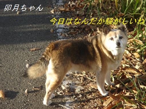 2007年11月18日 清里にて NO2_f0114128_210153.jpg