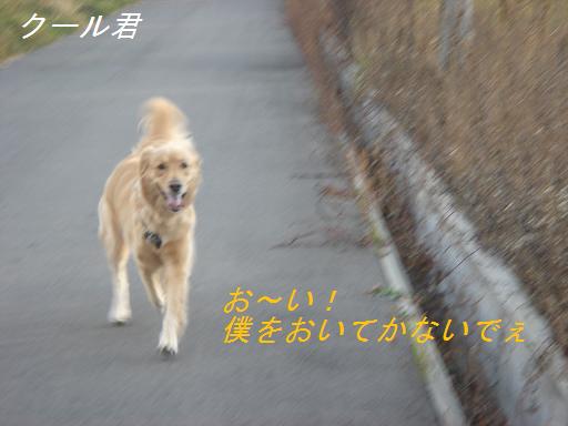 2007年11月18日 清里にて NO2_f0114128_2115134.jpg