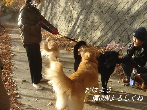 2007年11月18日 清里にて NO2_f0114128_2123078.jpg