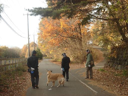 2007年11月18日 清里にて NO2_f0114128_21261633.jpg