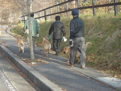 2007年11月18日 清里にて NO2_f0114128_2133186.jpg