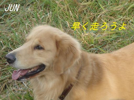 2007年11月18日 清里にて NO2_f0114128_2143588.jpg