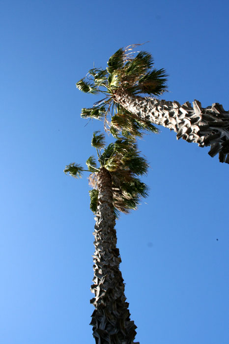 c0035836_2344699.jpg