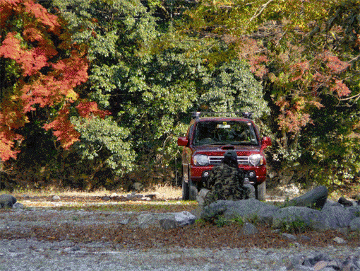 a0056140_2302126.gif