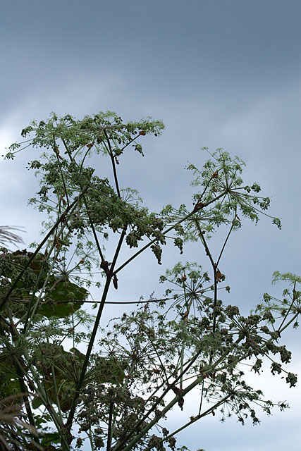 c0067040_23214633.jpg