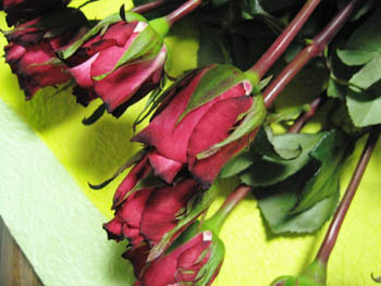 e0110940_21114918.jpg