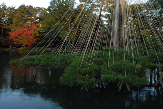 c0093046_1739132.jpg