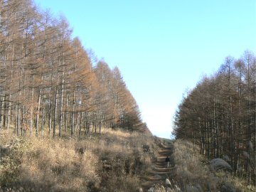 晩秋の八ケ岳_f0019247_23545162.jpg