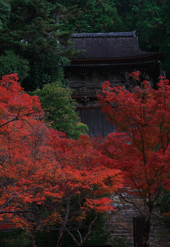 山門の彩り_f0155048_0341531.jpg