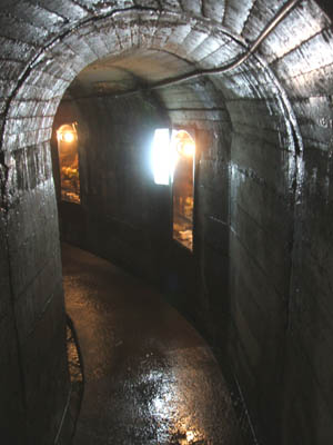c0097856_18324576.jpg