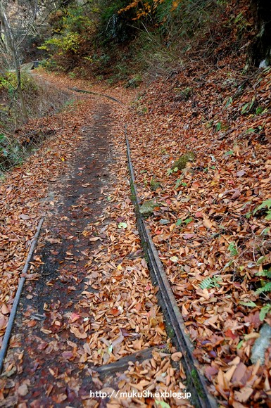 落ち葉踏む山道_c0124256_18343794.jpg