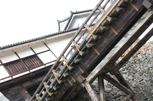 彦根城_e0076761_2301672.jpg