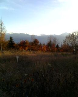 c0067272_2132422.jpg