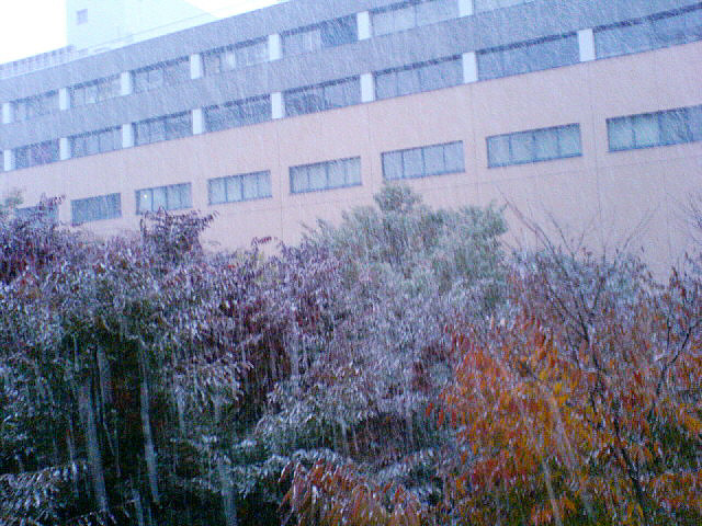 b0052998_15201267.jpg