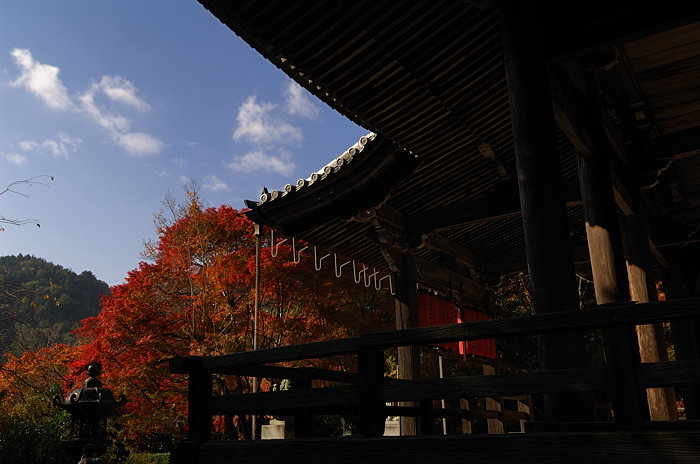 秋の金蔵寺・其の三_f0032011_1944847.jpg