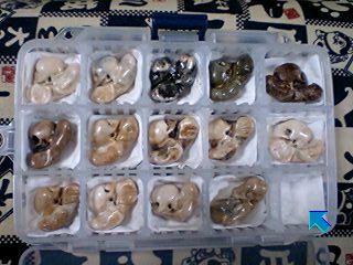 c0120316_12767.jpg