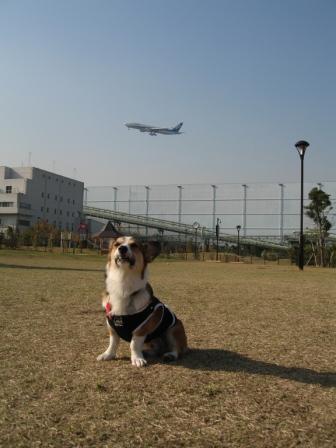 yummy とデート～城南島海浜公園②～_f0155118_0514888.jpg