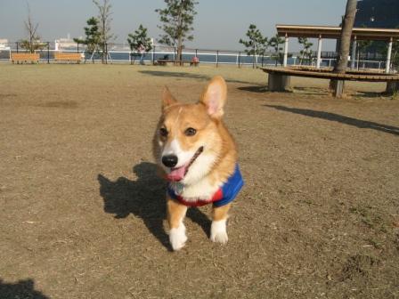 yummy とデート～城南島海浜公園②～_f0155118_11309.jpg