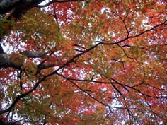 歳月_f0129726_2112413.jpg
