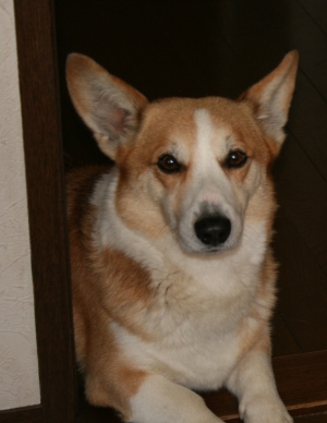 e0077528_9471819.jpg