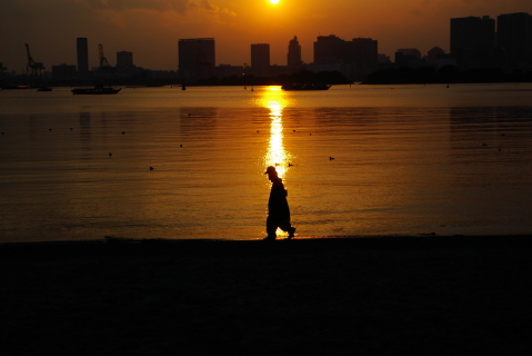 夕暮れ・・・帰り道_f0145933_0201856.jpg