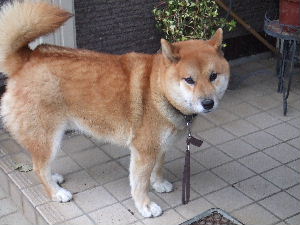 a0054240_21493217.jpg