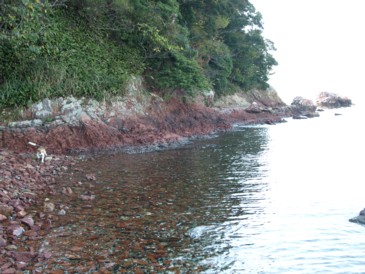 c0119142_3431477.jpg