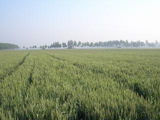 d0114242_05383.jpg