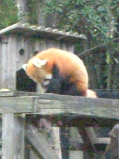 f0058042_20263234.jpg