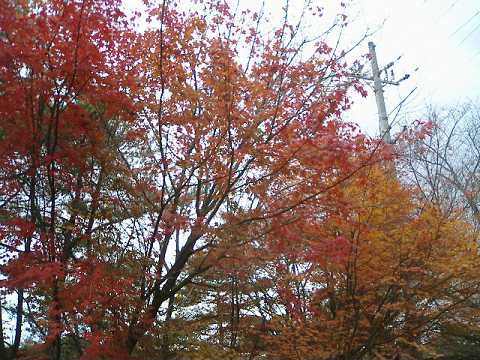 f0090444_21323513.jpg