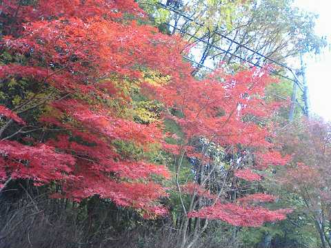 f0090444_2132740.jpg