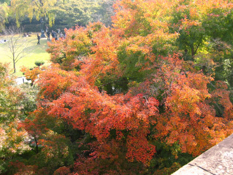 c0073649_22484764.jpg